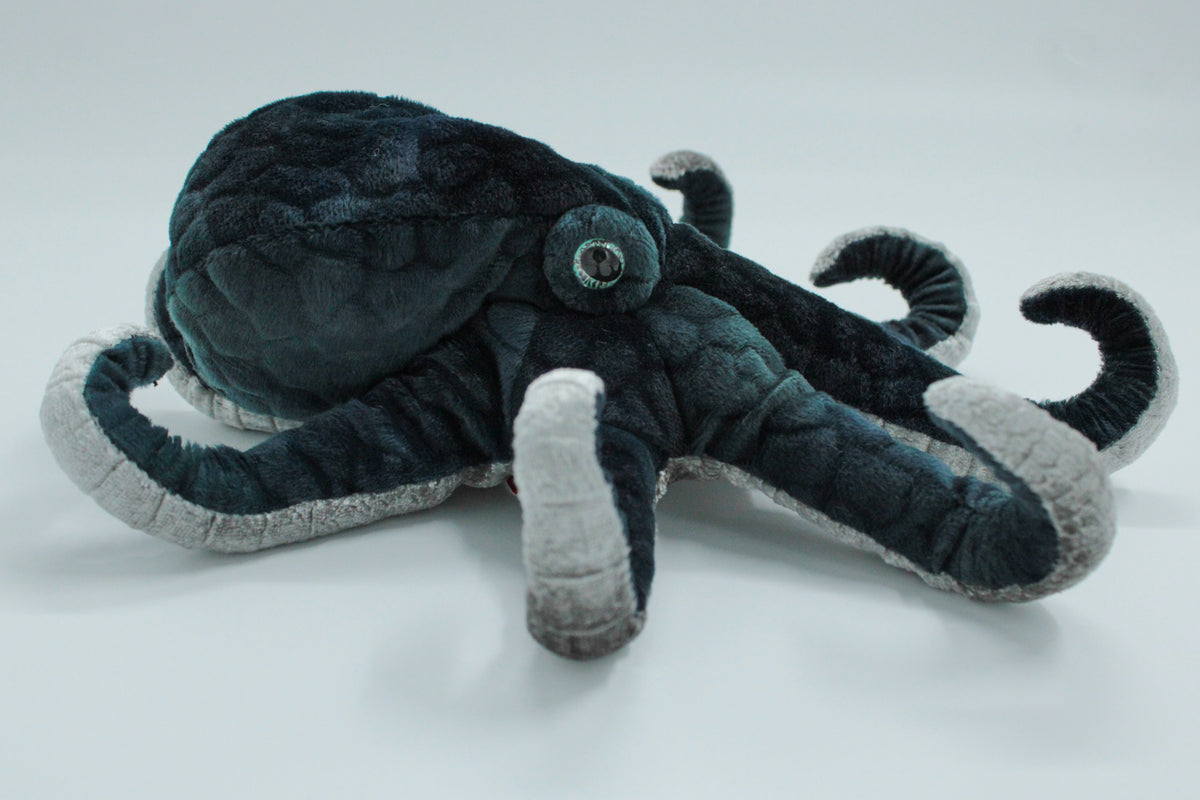 Winky Octopus