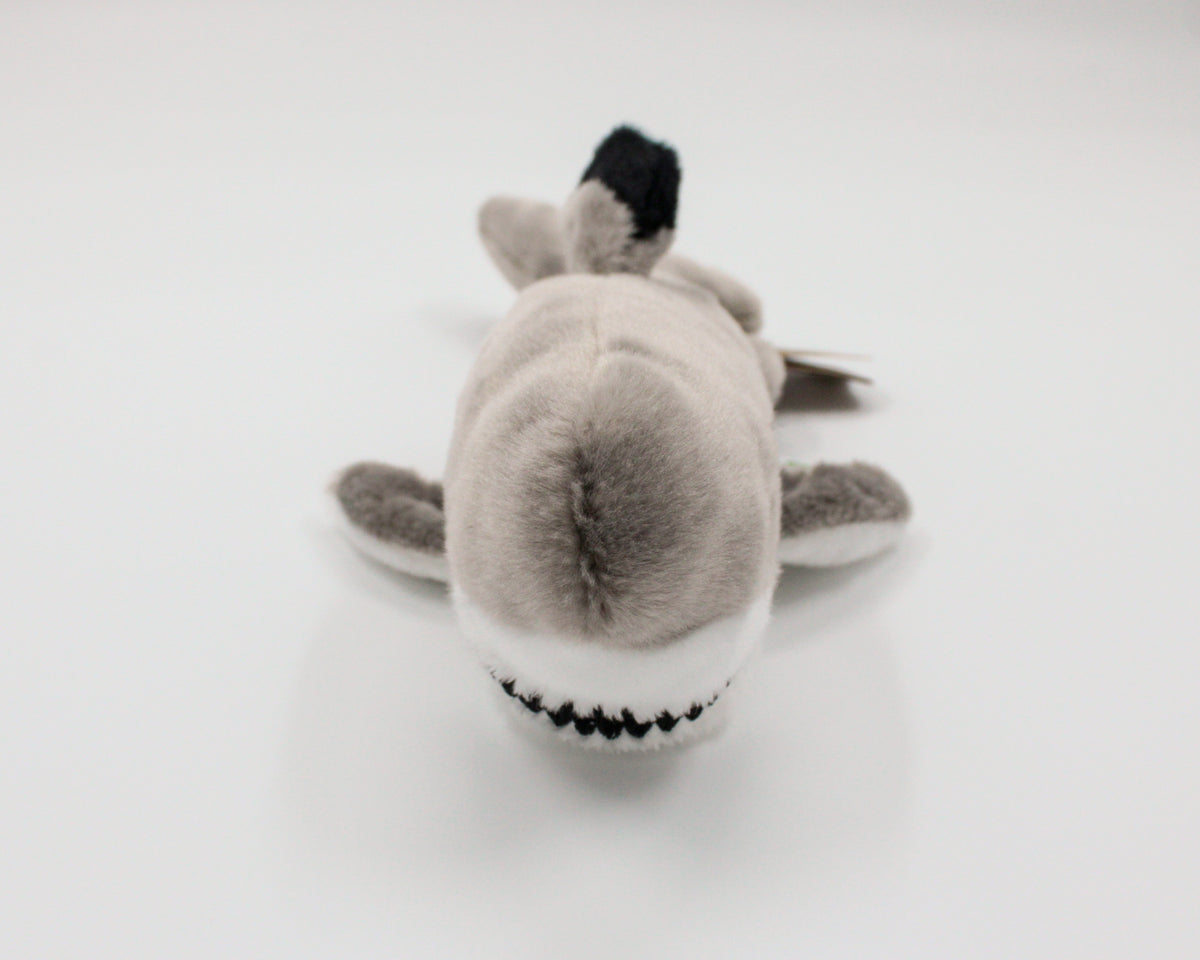 8" Eco Softies Black Tipped Shark