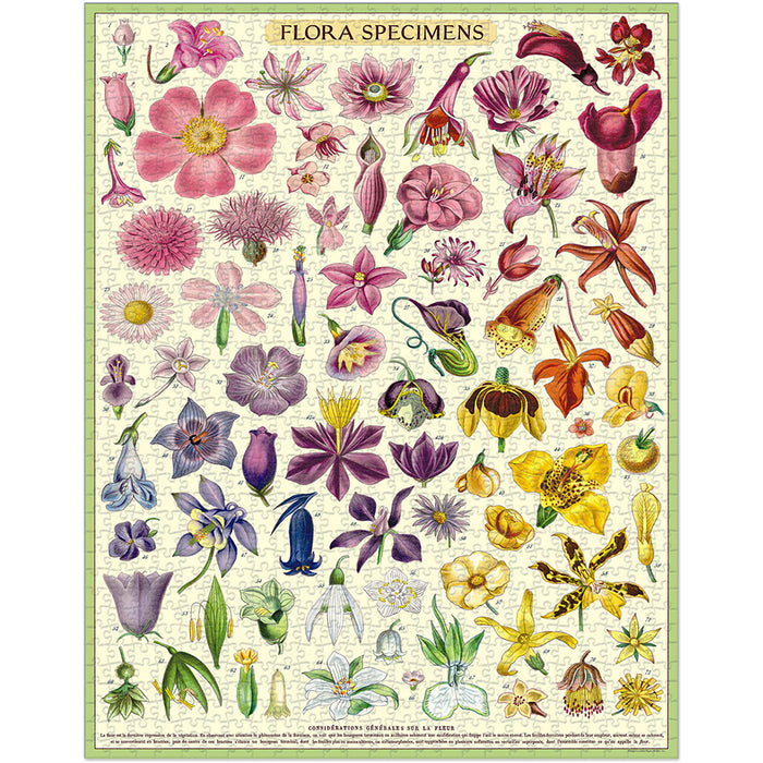 Vintage Puzzle Flora Specimens
