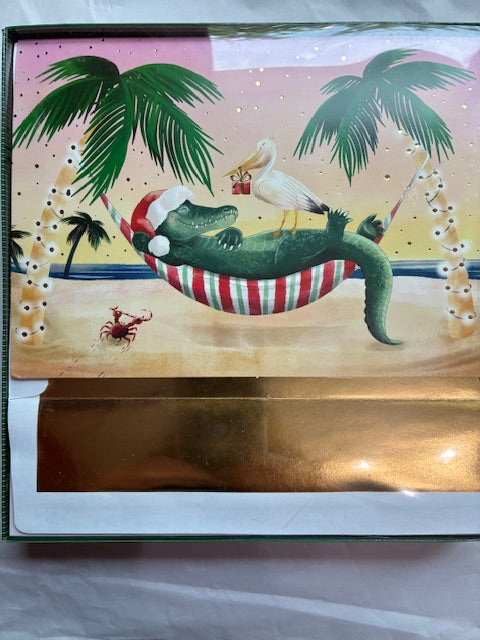 Holiday Nap- Holiday Cards