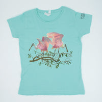 Roseate Spoonbill Ladies' Modern Fit T-shirt