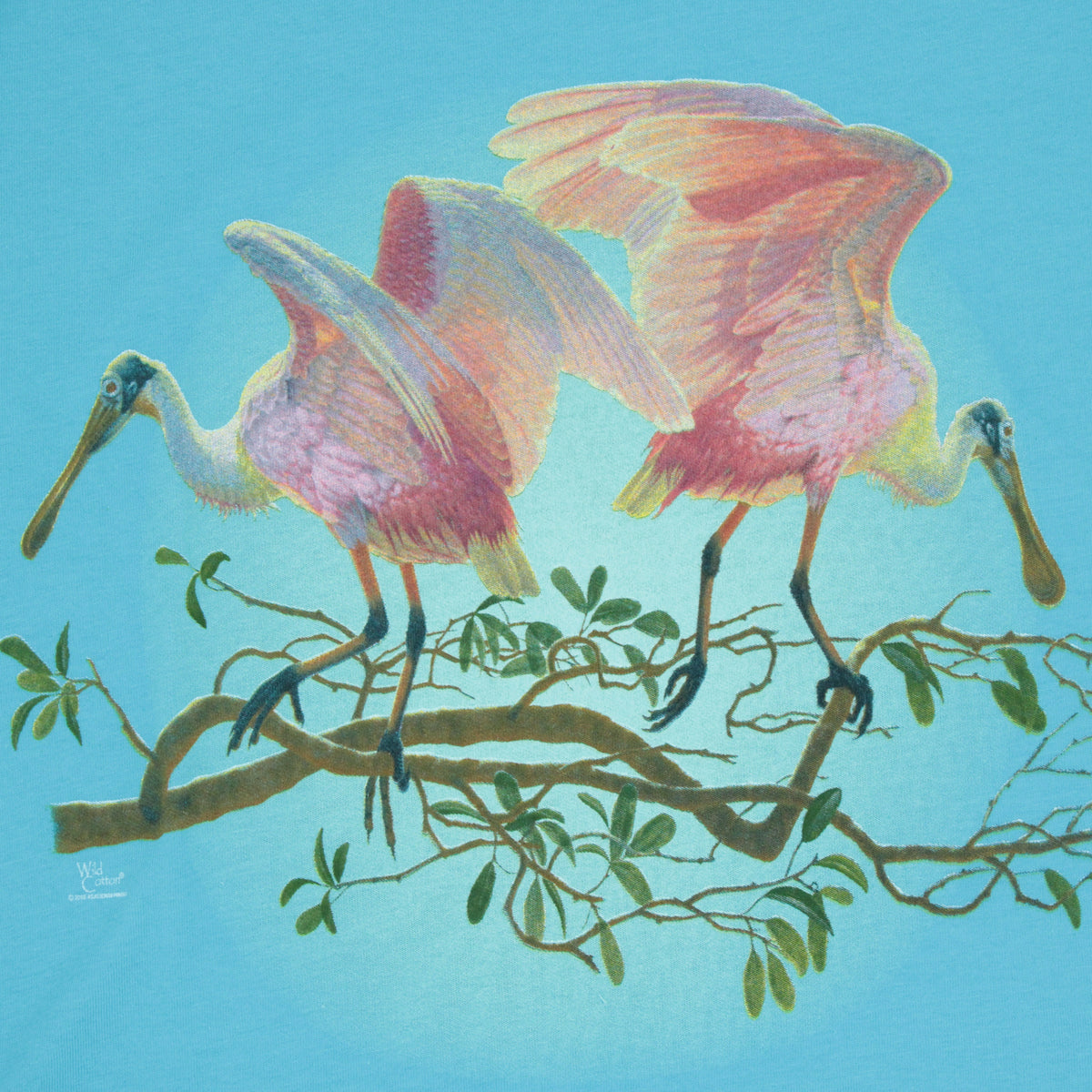 Roseate Spoonbill Ladies' Modern Fit T-shirt