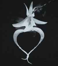 Clyde Butcher Ghost Orchid V-Neck T-Shirt
