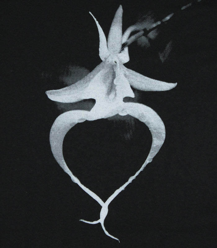 Clyde Butcher Ghost Orchid V-Neck T-Shirt
