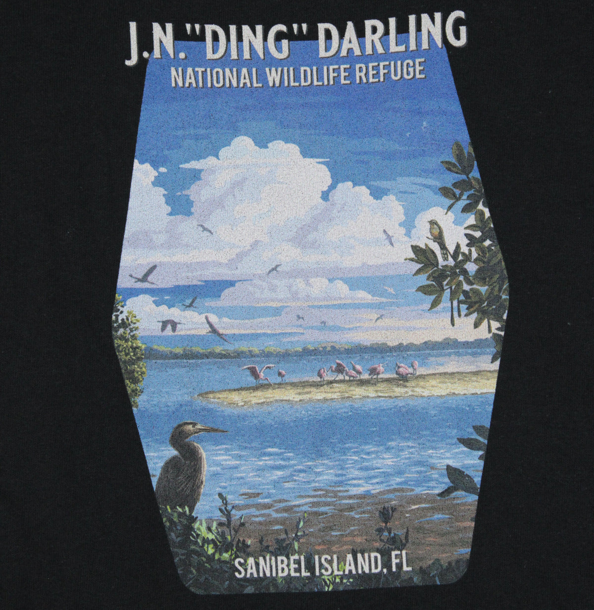 "Ding" Darling Wild Spaces Collection - Ladies V-Neck T-Shirt - Black