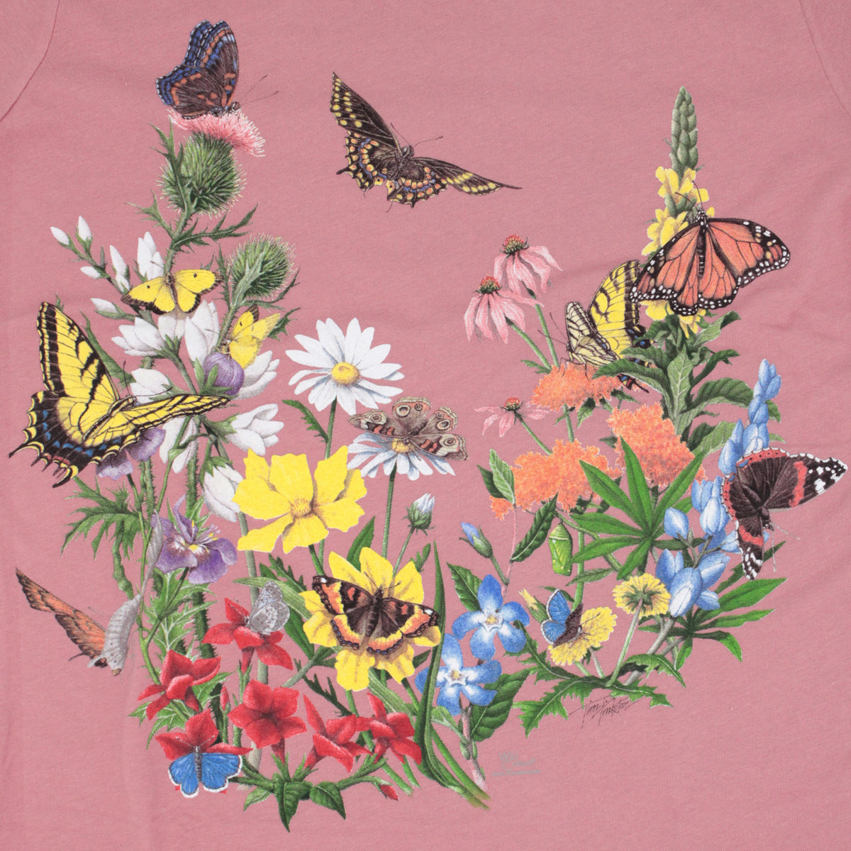 Butterflies Ladies Modern Fit T-Shirt