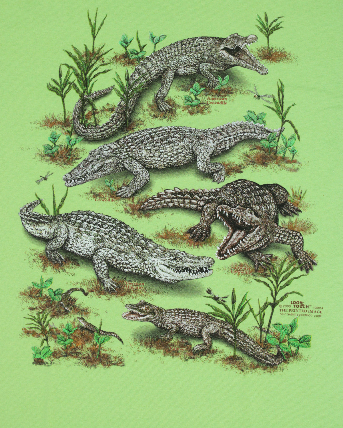 Alligators Youth T-Shirt - Green