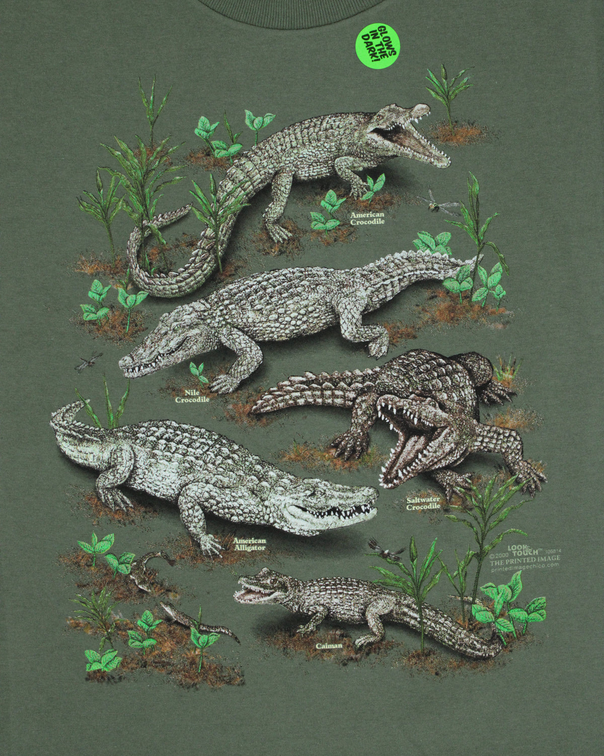 Alligators Youth T-Shirt - Green