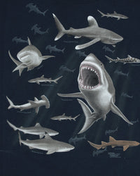 Glow in the Dark Sharks Youth T-Shirt - Navy Blue