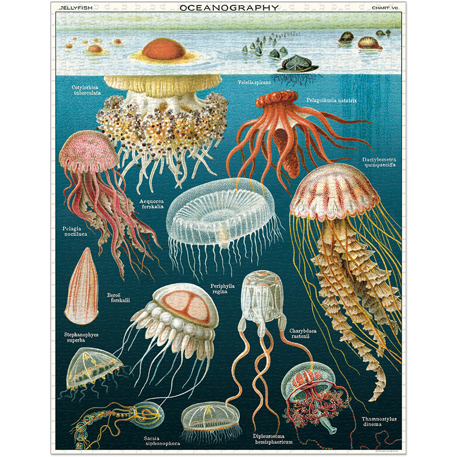 Vintage Puzzle JellyFish