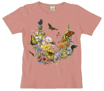 Butterflies Ladies Modern Fit T-Shirt