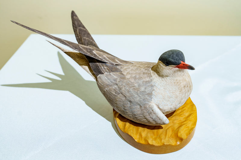 Hand Carved Common Tern Sculpture by Jeff Demarest