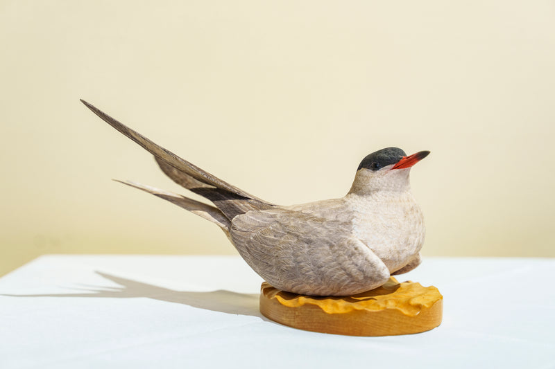 Hand Carved Common Tern Sculpture by Jeff Demarest