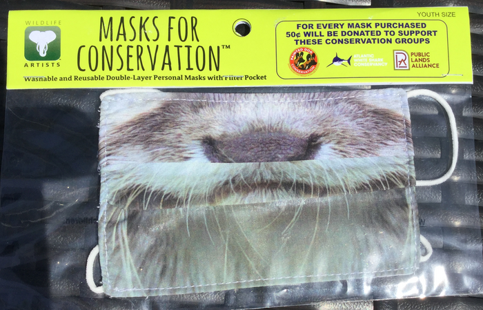 Youth Masks for Conservation - Animal Faces - Otter