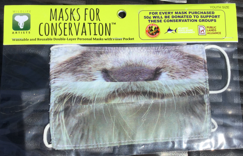 Youth Masks for Conservation - Animal Faces - Otter