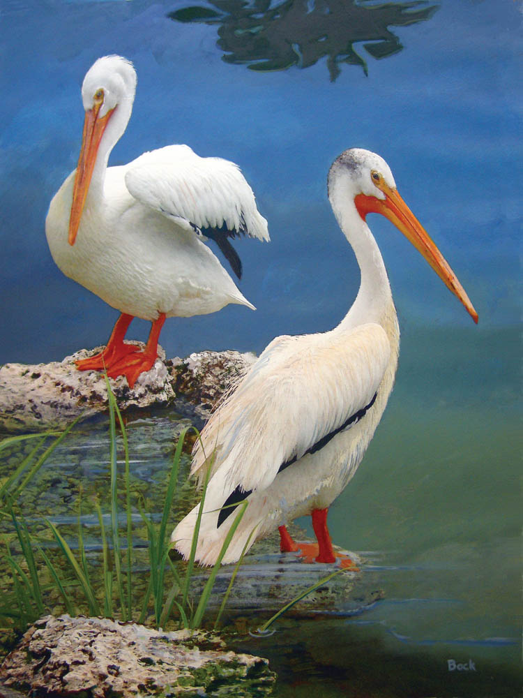 White Pelicans - 550 Piece Puzzle - Made in the USA