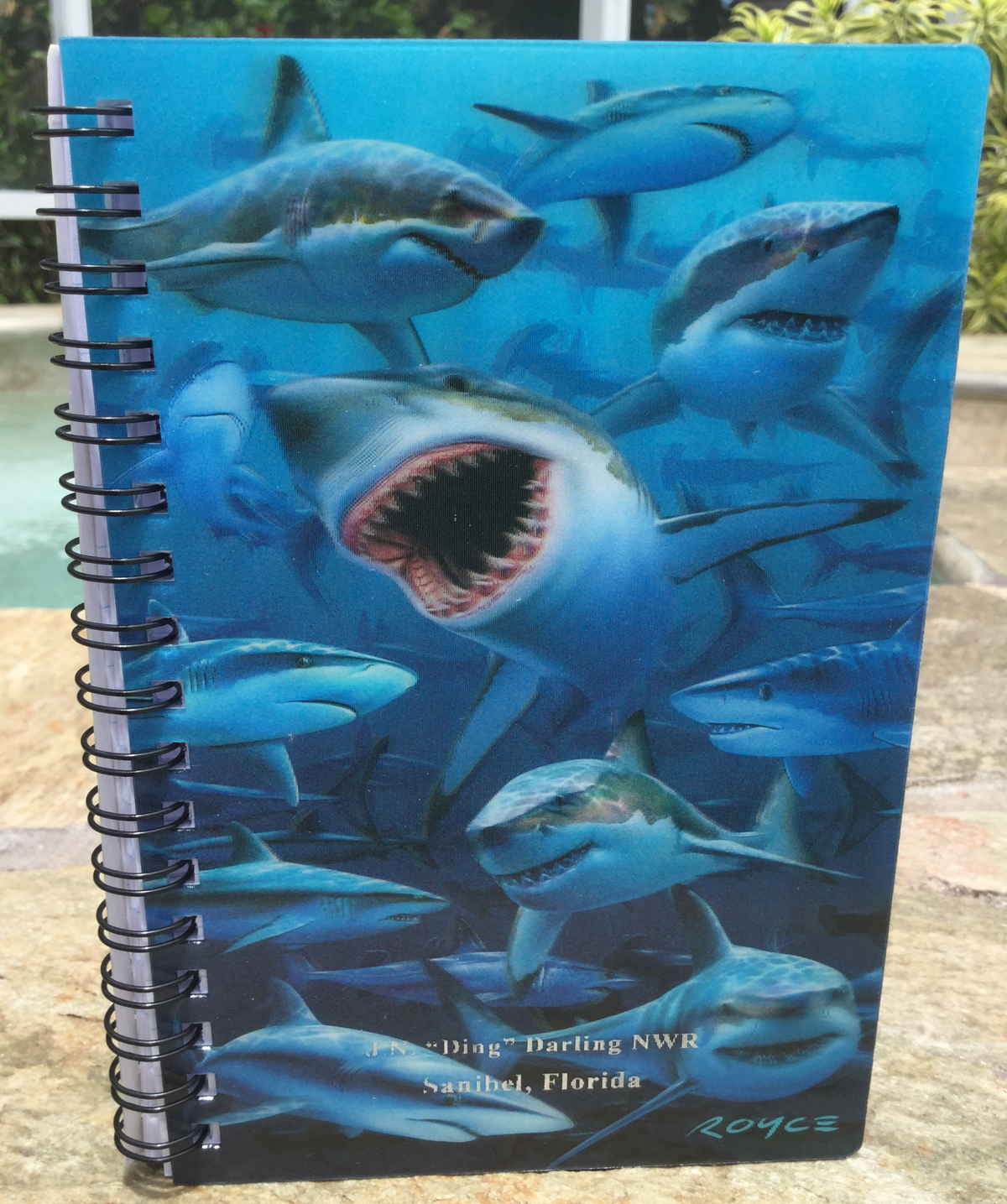 3D Fun and Interactive Notebooks - Exciting Animals