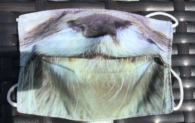 Youth Masks for Conservation - Animal Faces - Otter