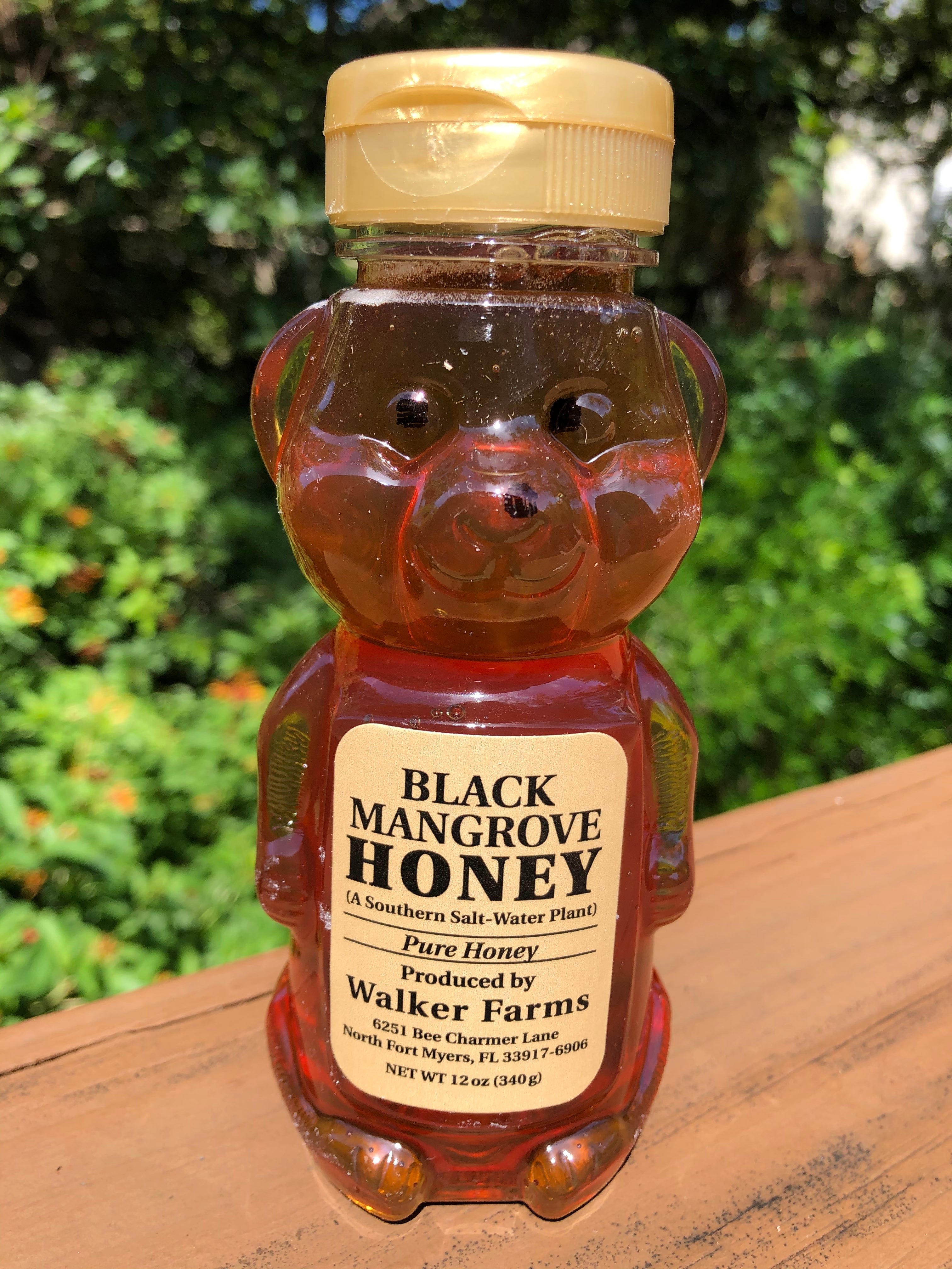 Local Honey - 12oz Bear - 4 Distinct Flavors – Shop 