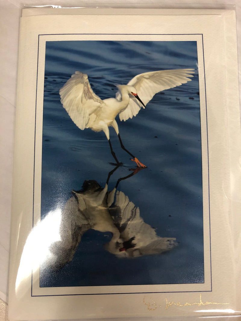 Card - Snowy Egret Dance - David Meardon Photography