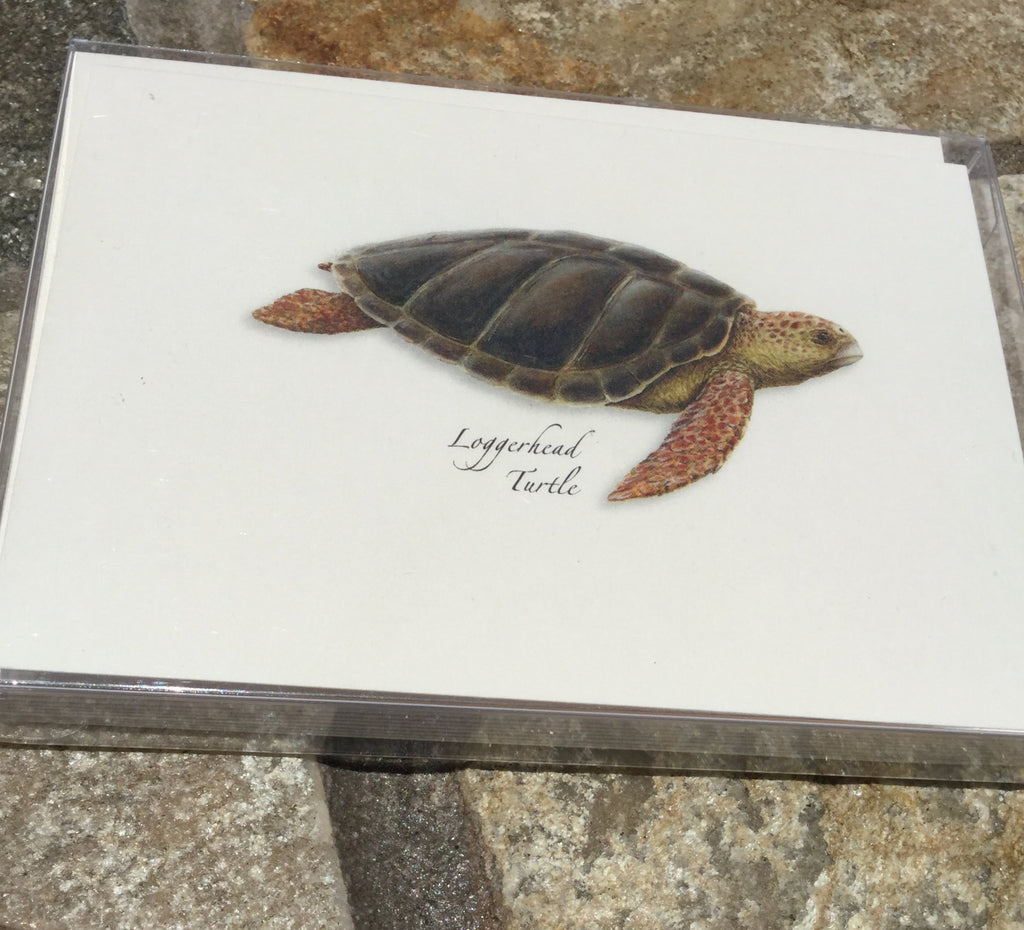 Sea Turtles Premium Boxed Notecard Set