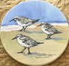 Absorbent Stone Coaster Set - Sandpipers - Set of 4