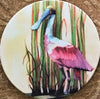 Absorbent Stone Coaster Set - Roseate Spoonbill - Set of 4