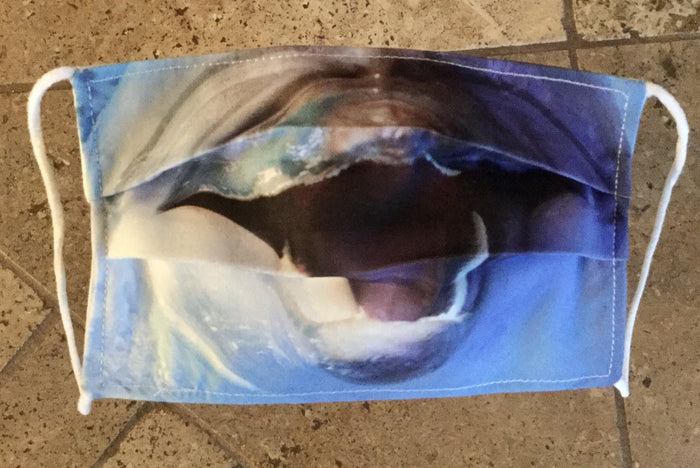 Youth Masks for Conservation - Animal Faces - Dolphin