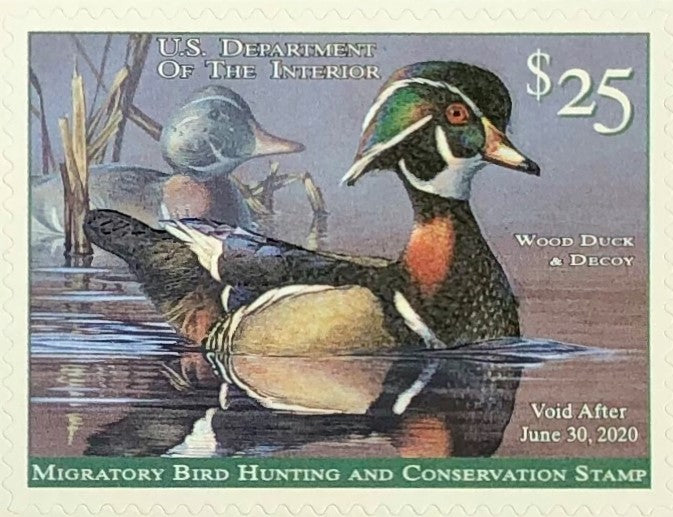 10 Duck Postage Stamps Unused 51 Cent King Eider Coastal Bird