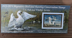 Federal Duck Stamp - Purchase to Support Wildlife and Habitat Conservation