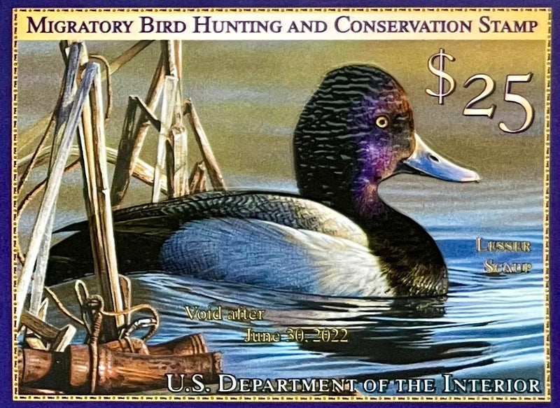 Federal Duck Stamp - Purchase to Support Wildlife and Habitat Conservation