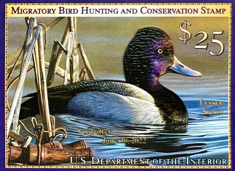 10 Duck Postage Stamps Unused 51 Cent King Eider Coastal Bird Postage –  Edelweiss Post