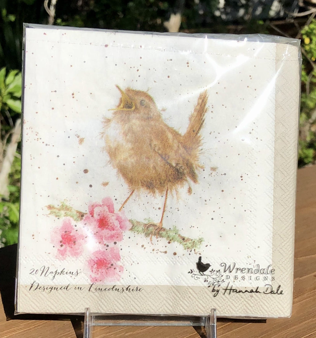 Whimsical Wildlife Paper Napkins - Garden Birds - Two Sizes