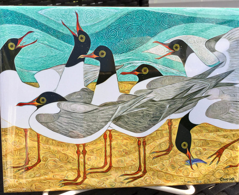 Decorative Hanging Tiles - Laughing Gulls