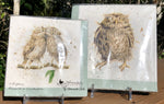Whimsical Wildlife Paper Napkins - What a Hoot - Two Sizes