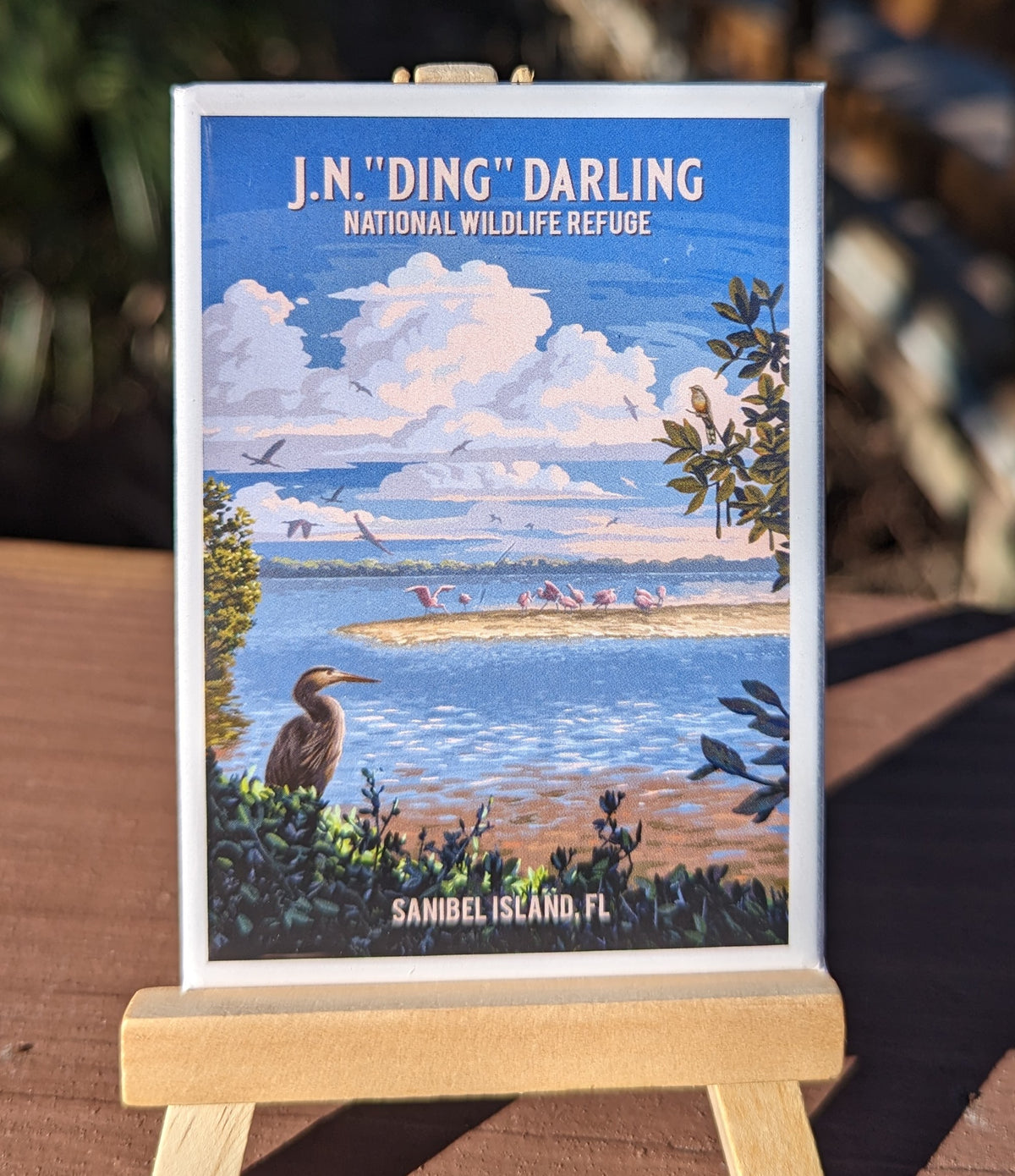 "Ding" Darling Wild Spaces Collection - Magnet