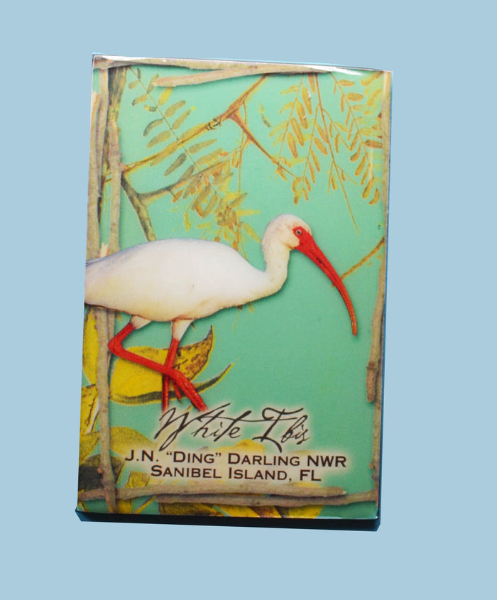 Wildlife Refrigerator Magnets - White Ibis