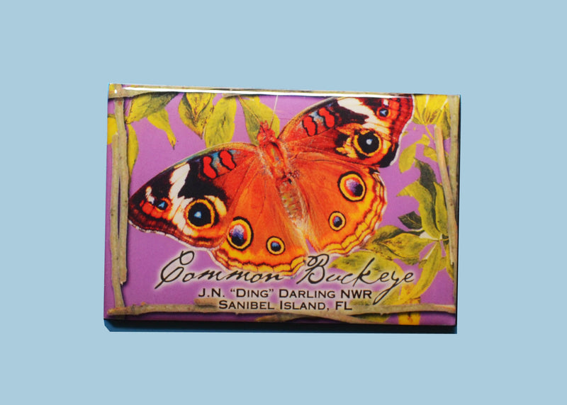 Wildlife Refrigerator Magnets - Common Buckeye Butterfly