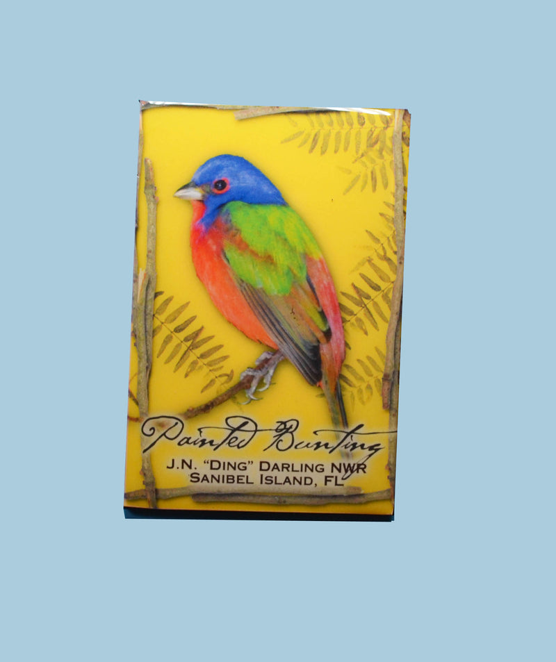 Wildlife Refrigerator Magnets - Painted Bunting