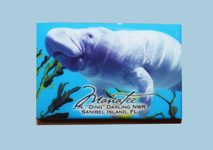 Wildlife Refrigerator Magnets - Manatee