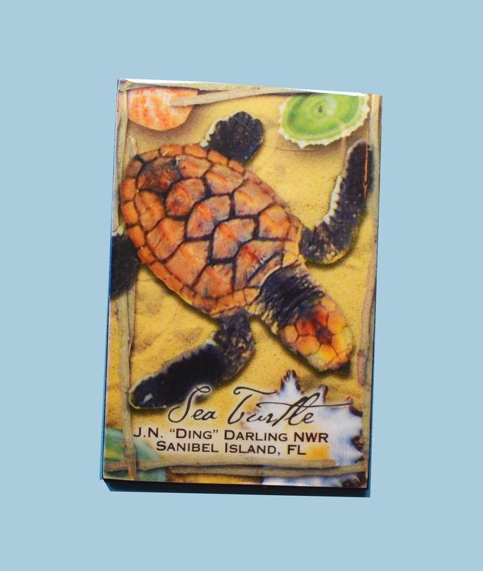 Wildlife Refrigerator Magnets - Loggerhead Hatchling