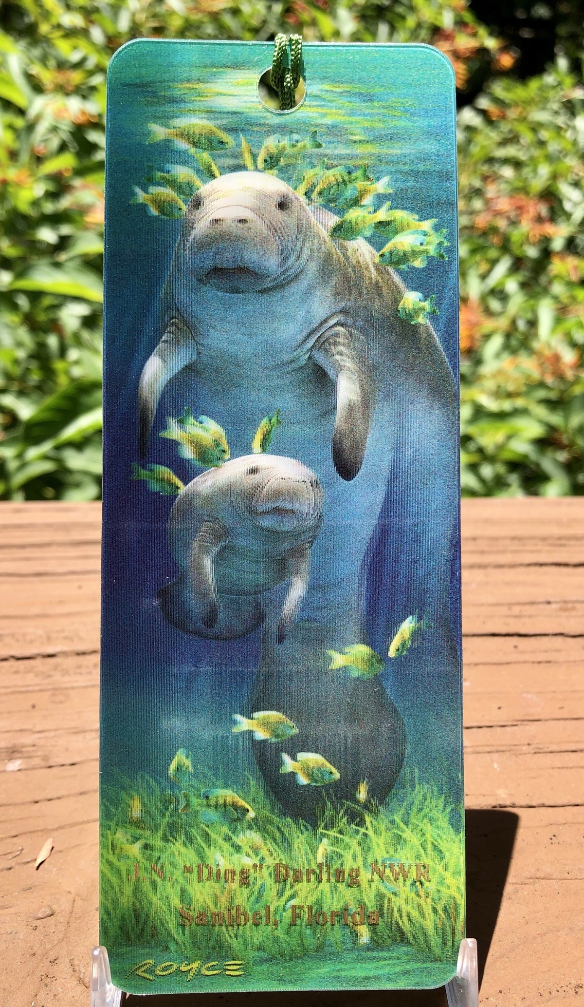 3D Fun and Interactive Bookmarks - Crazy Critters