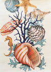 All-Occasion Cotton Napkins - Coral and Shells - Set of 4