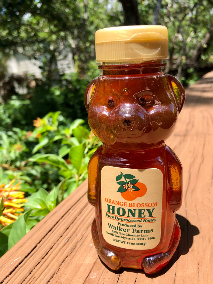 Local Honey - 12oz Bear - 4 Distinct Flavors