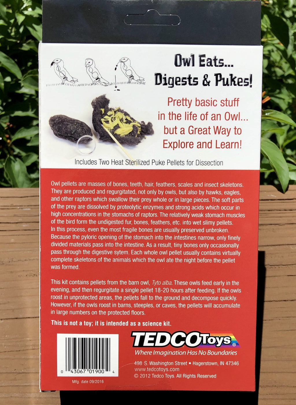 Owl Puke - Scientifically Gross