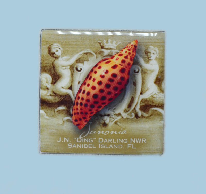 Wildlife Refrigerator Magnets - Junonia