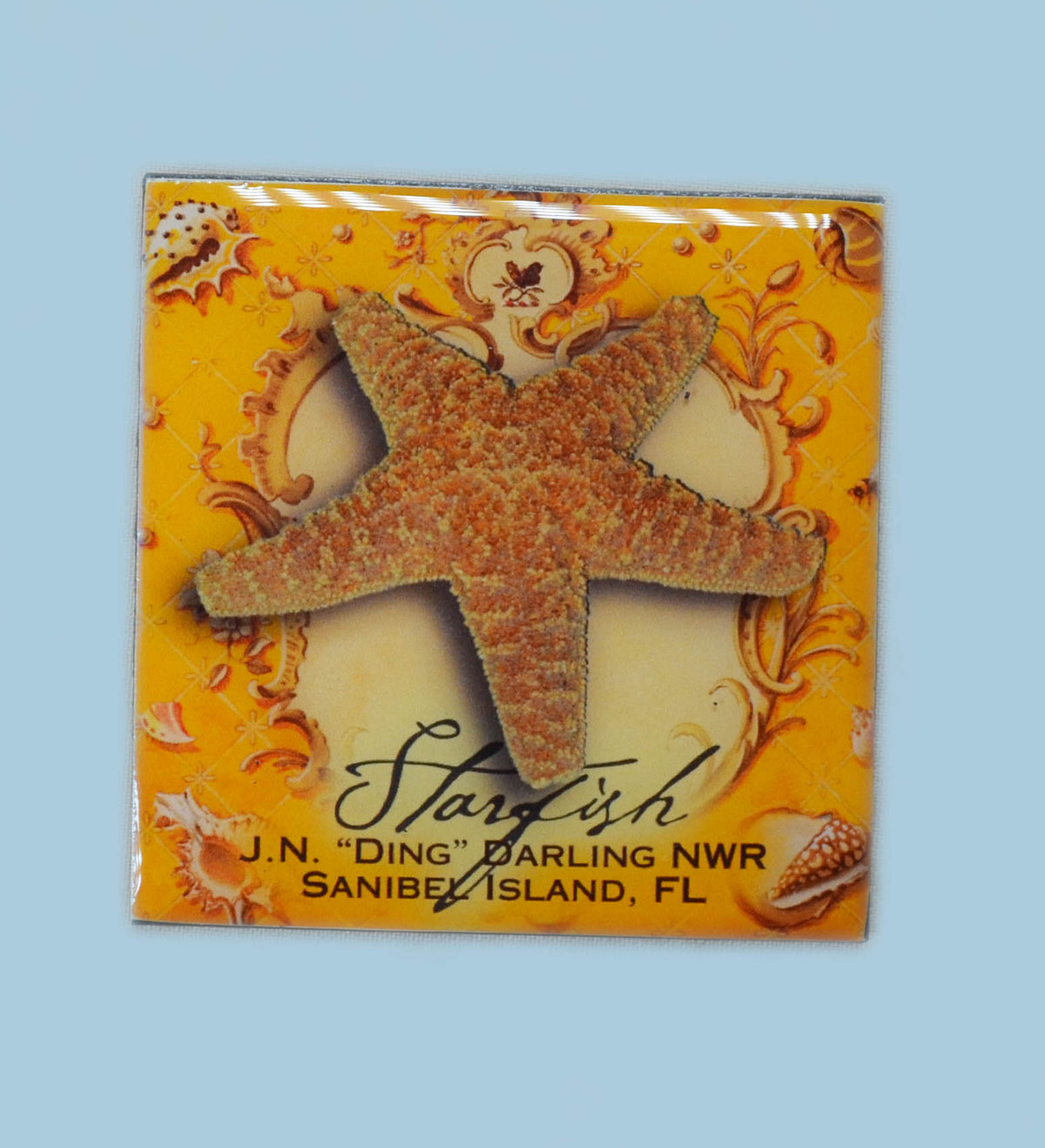 Wildlife Refrigerator Magnets - Sea Star