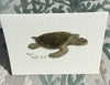 Sea Turtles Premium Boxed Notecard Set