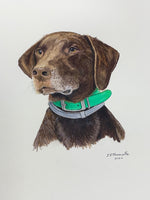 Custom Dog Portrait by Local Artist Vince Thomalla