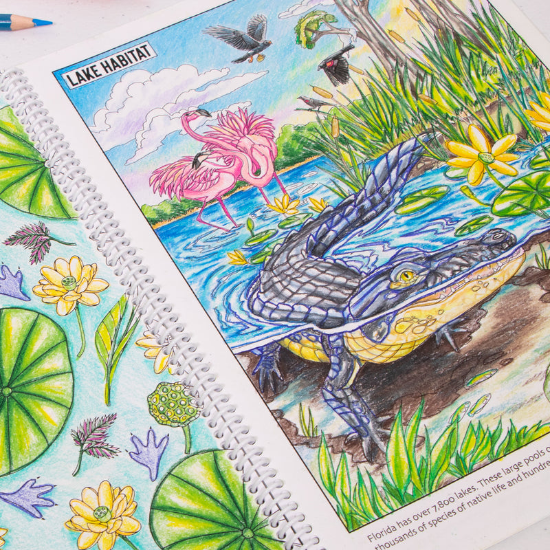 Color Your Way Through Wild Florida - Coloring Book for Conservation